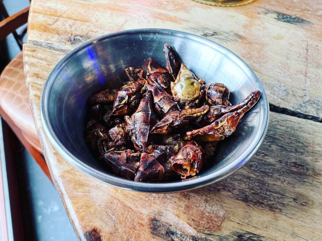 A pile of edible crickets rest in a serving dish