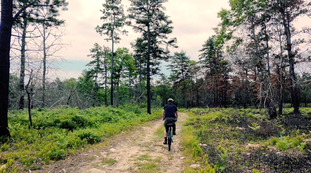 A cyclist rides a gravel road through the woods.