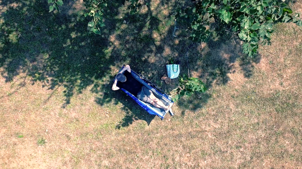A man lies in a hammock in a park, viewed from directly above.