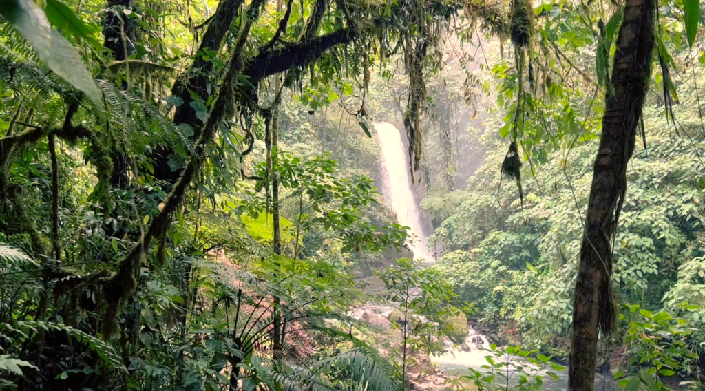 A cascade pours through rainforest at the Waterfall Gardens in Costa Rica.
